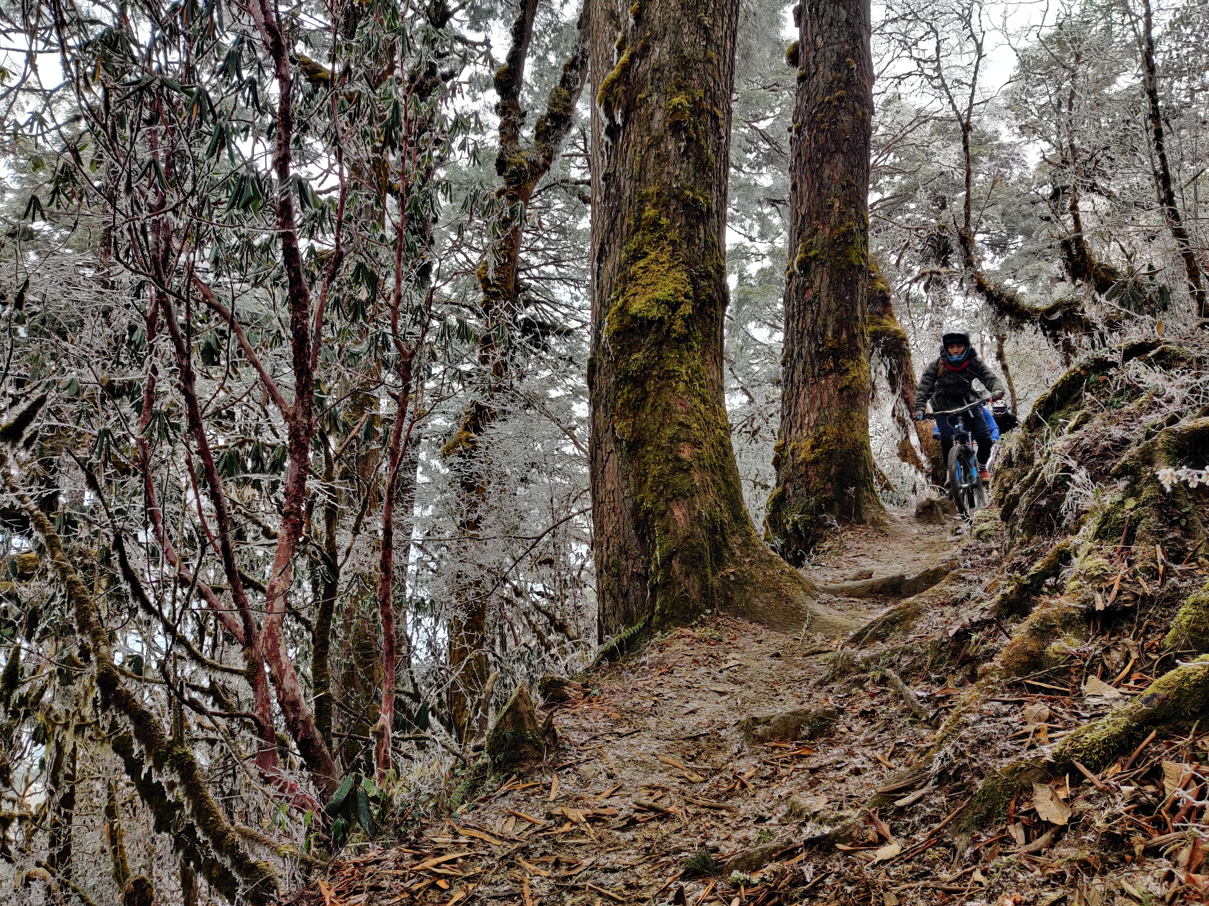 Bhutan MTB tour
