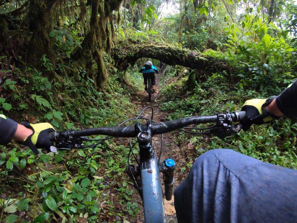 Custom Colombia trek