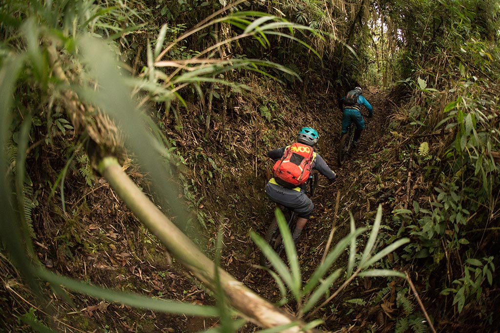 Trekking in Colombia
